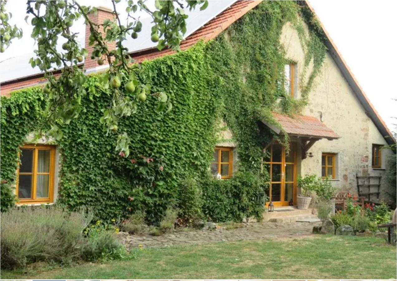 Haus Falkenhof Knullwald Exterior photo